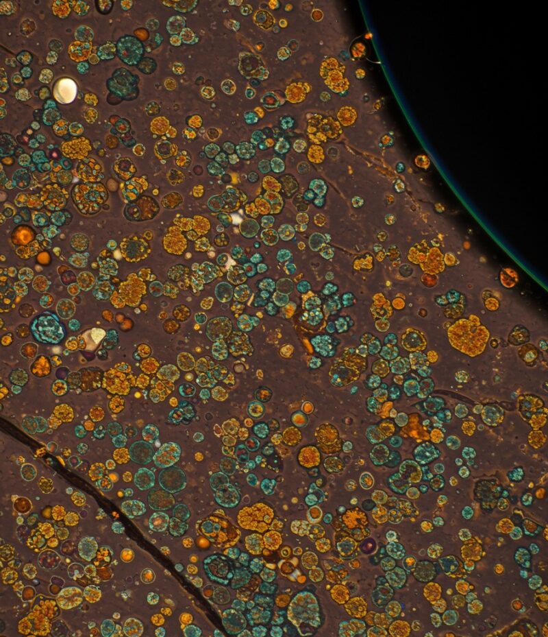 Kaustische Korrosion