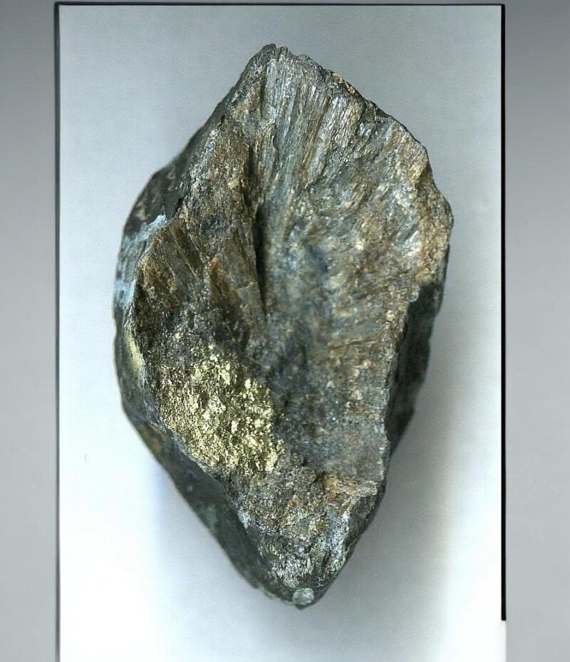 freepik__expand__45070